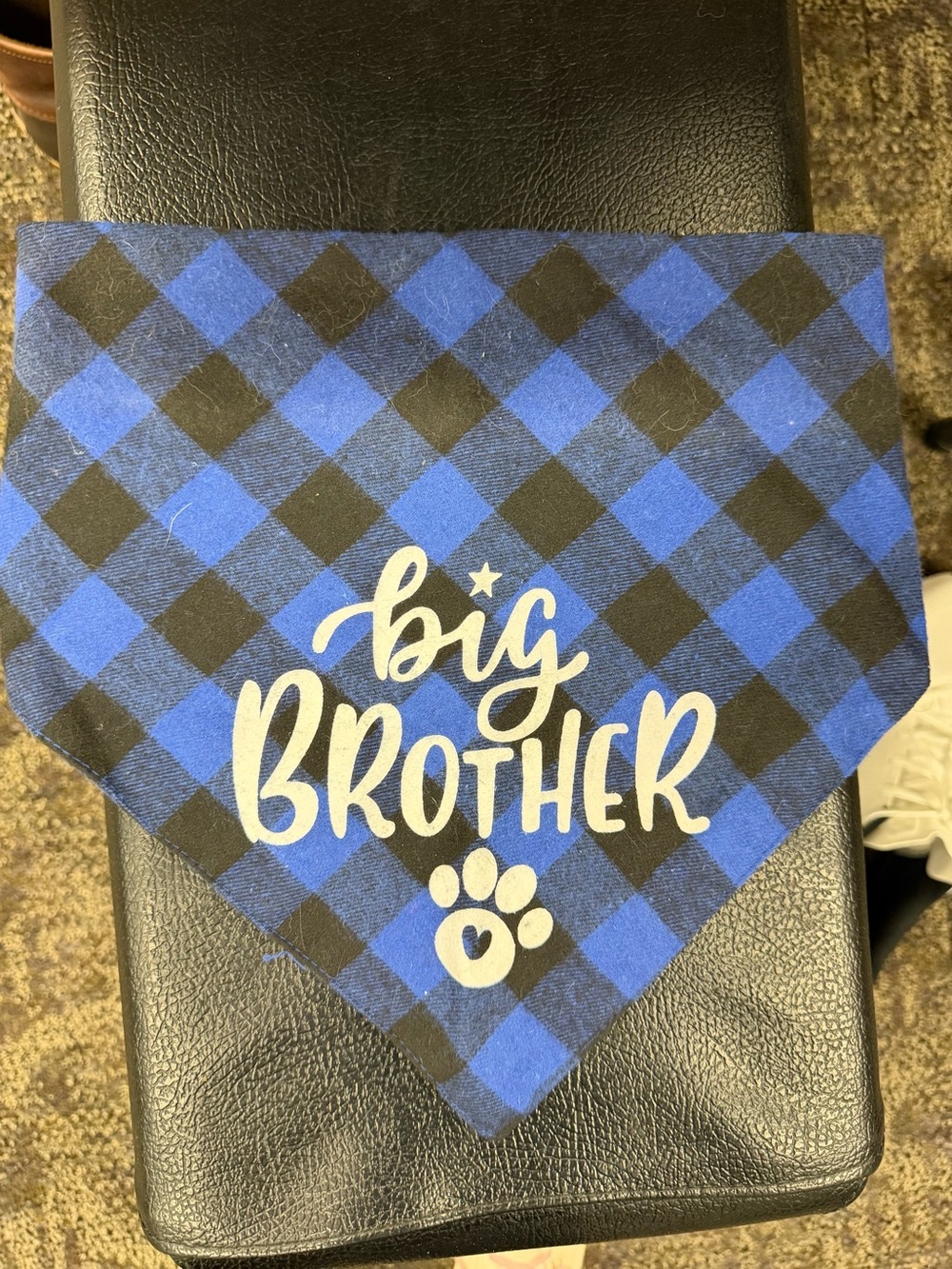 Amazon Blue and Black Plaid "Big Brother" Dog Bandana